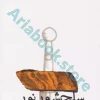 سلحشور نور