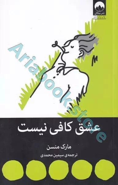 عشق کافی نیست